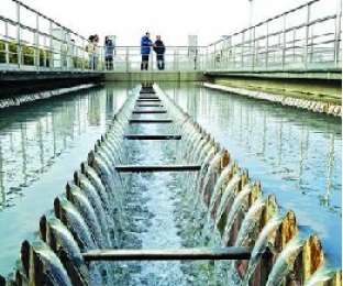 污水廠進(jìn)水營養(yǎng)不均衡怎么辦