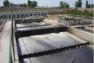 厭氧生物處理的影響因素有哪些？