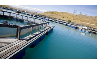 高濃度、高氨氮、難降解廢水生物處理技術經驗總結