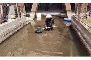 如何對活性污泥進行科學管控？