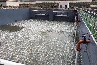 碳源的價格水漲船高，污水廠如何減少碳源投加量來降低成本？