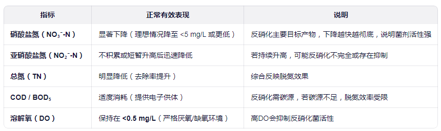 投加反硝化菌劑后如何判斷效果